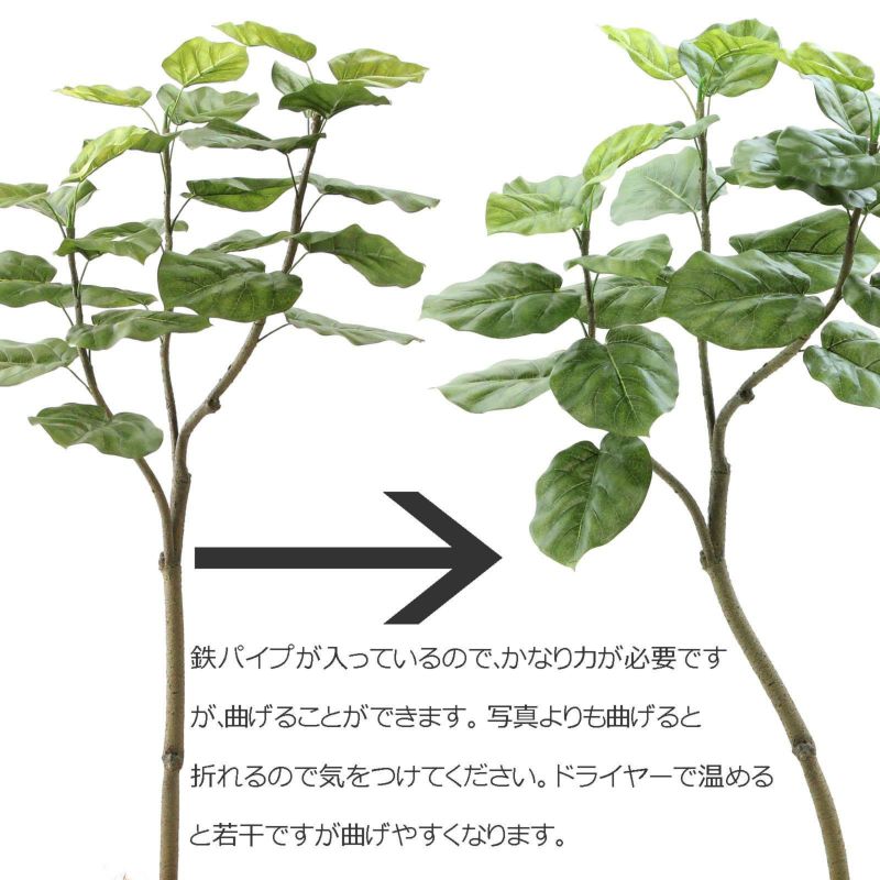 人工観葉植物・フェイクグリーンの取扱