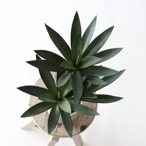 フェイクグリーンって本物そっくりなの？