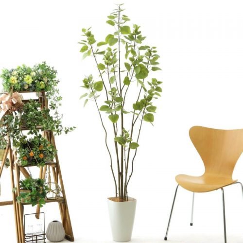 光触媒観葉植物とフェイクグリーンの 造花ドットコム 光触媒観葉植物とフェイクグリーンの 造花ドットコム