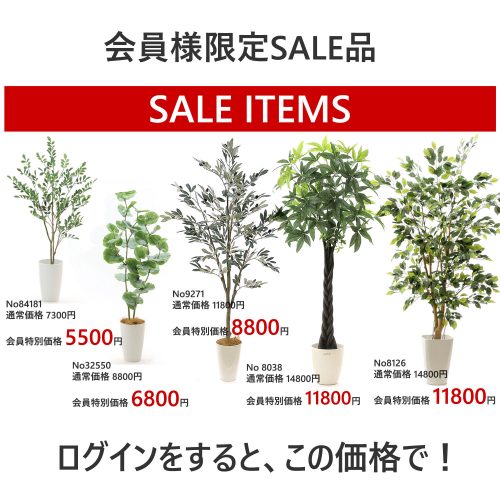 プレミアム光触媒フェイクグリーン 造花ドットコム Zouka Com プレミアム光触媒フェイクグリーン 造花ドットコム Zouka Com