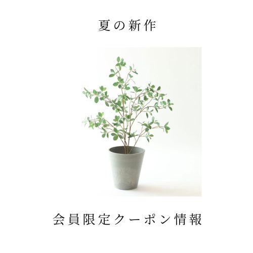 夏の新作＆会員限定クーポン情報