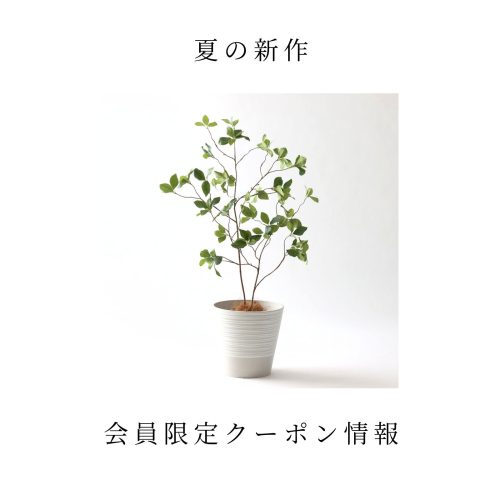 夏の新作＆会員限定クーポン情報