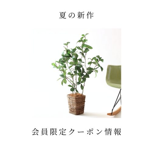 夏の新作＆会員限定クーポン情報