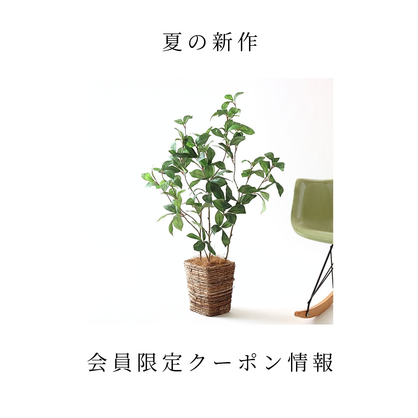 夏の新作＆会員限定クーポン情報
