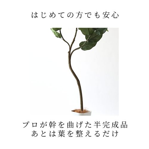 はじめての方でも安心　プロが幹を曲げてお届けする半完成品　あとは葉を整えるだけ