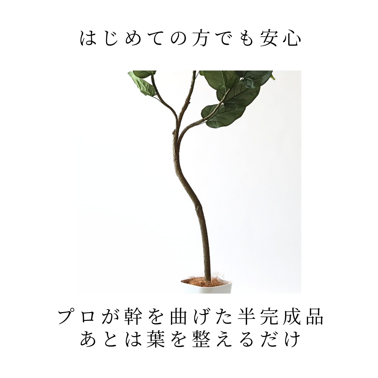 はじめての方でも安心　プロが幹を曲げてお届けする半完成品　あとは葉を整えるだけ