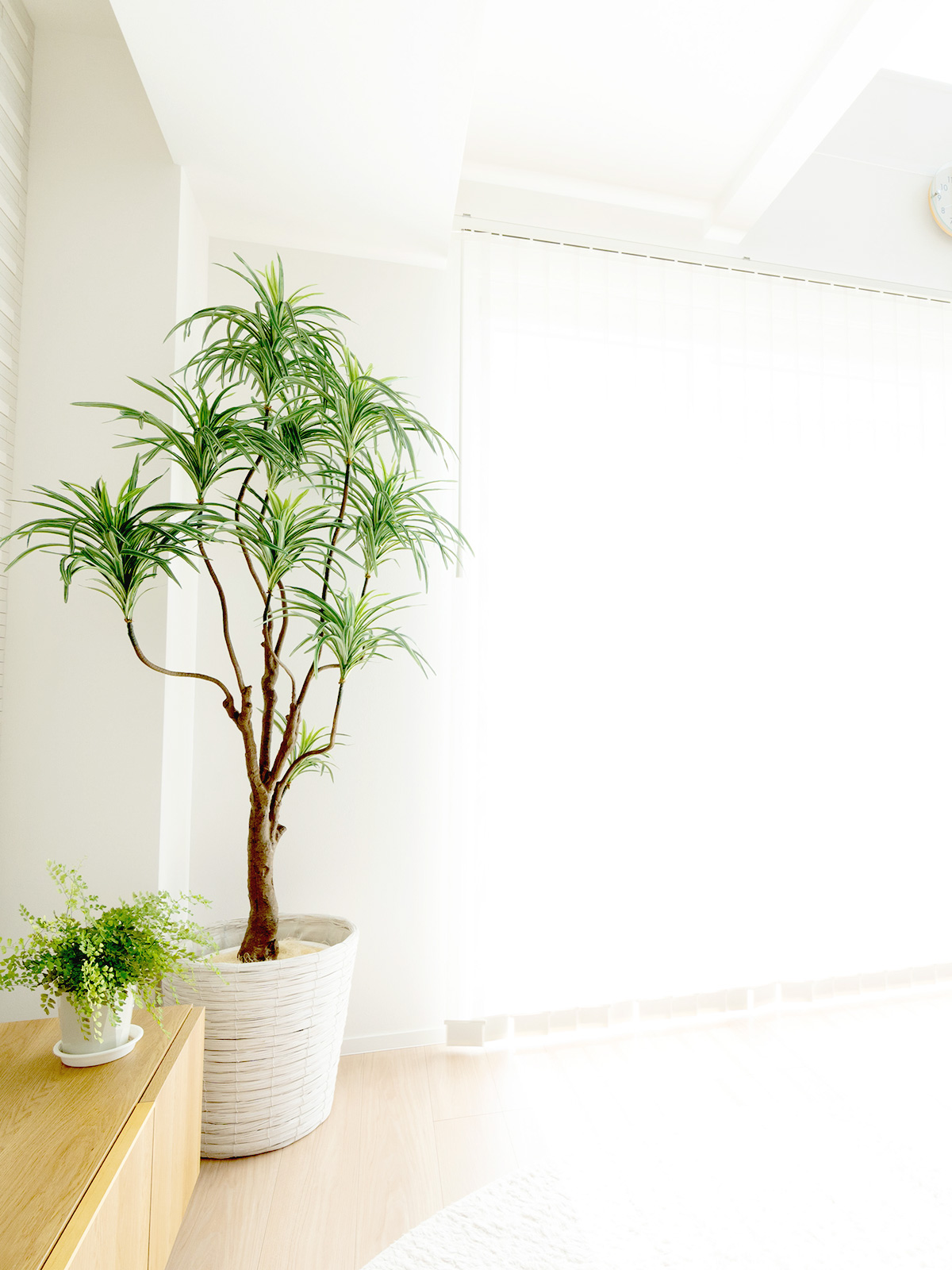 光触媒　人工観葉植物　ウォールグリーン　フェイクグリーン　オリーブポット５Ｆ 光触媒 人工観葉植物 ウォールグリーン フェイクグリーン