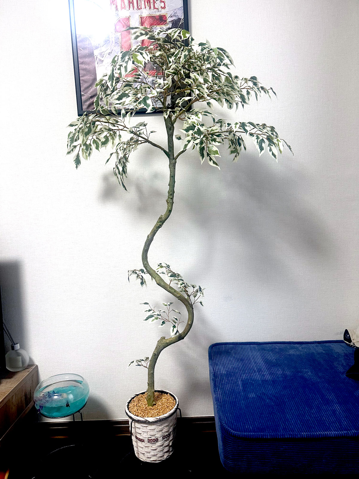 光触媒　人工観葉植物　フェイクグリーン　パキラミルキーウェイ150FST 光触媒 光の楽園 ミルキーパキラ1.8【インテリア フェイク