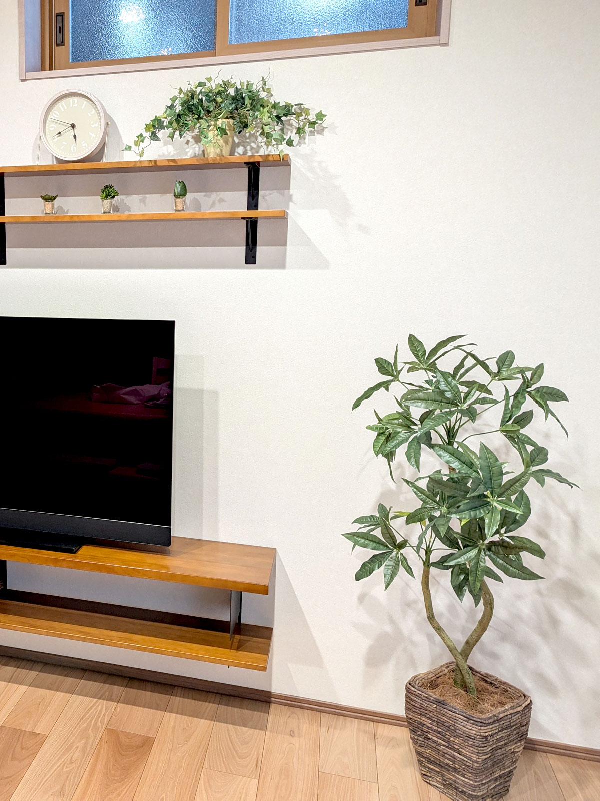 プレミアム光触媒フェイクグリーン★フィカス・ウンベラータ 5枝 高さ140cm No9267 プレミアム光触媒フェイクグリーン「広がる葉