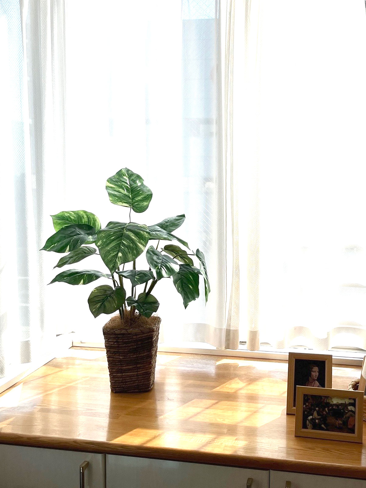 プレミアム光触媒フェイクグリーン 造花ドットコム zouka.com