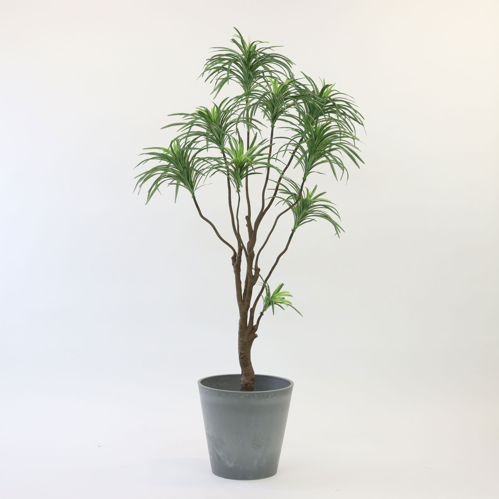 発泡スチロールで約10cm底上げした状態