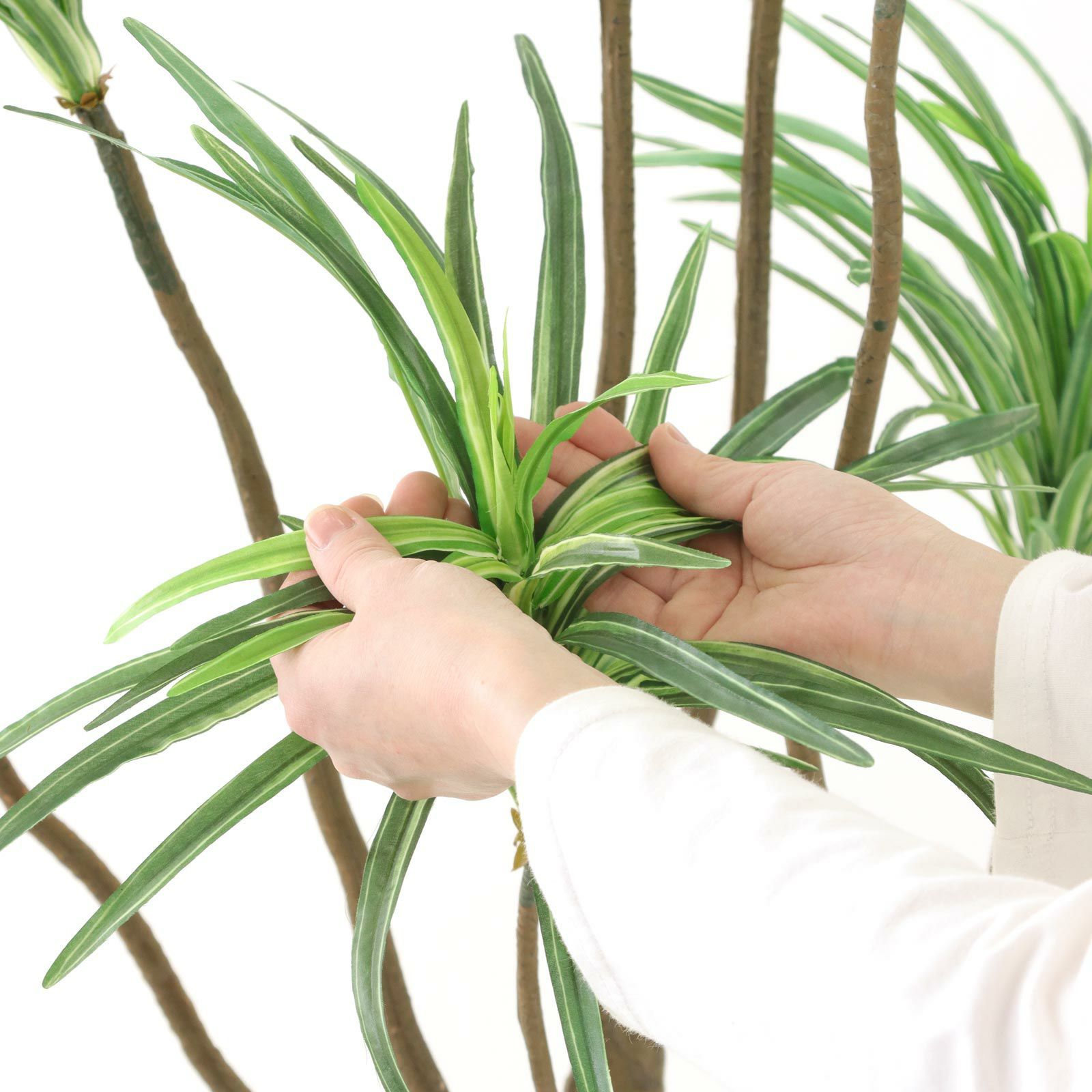 No8182 プレミアム光触媒フェイクグリーン 「枝を自由に曲げて！ ドラセナ・コンシンネ 9枝 高さ180cm 幅85cm 奥行80cm」