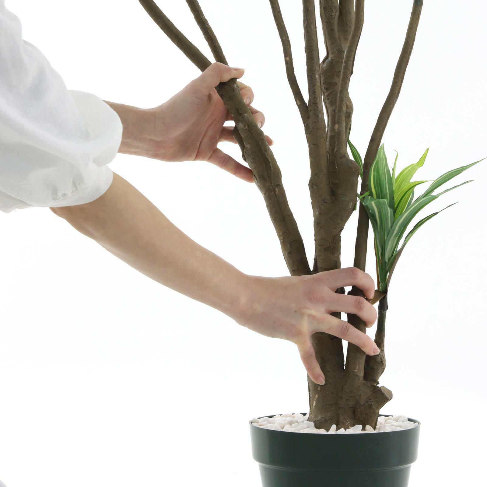 No8271 プレミアム光触媒フェイクグリーン「ドラセナ・ワーネッキー 8枝 高さ140cm 幅90cm 奥行80cm」