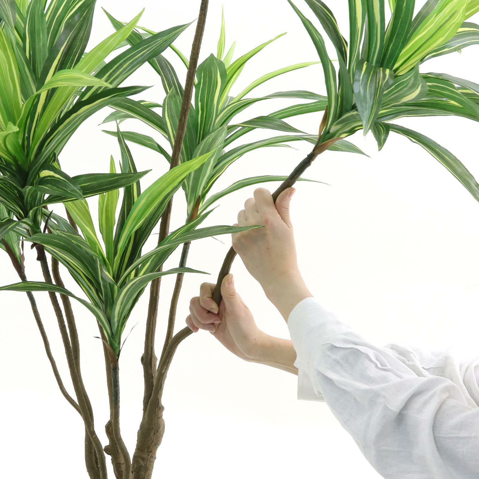 No8271 プレミアム光触媒フェイクグリーン 「ドラセナ・ワーネッキー 8枝 高さ140cm 幅90cm 奥行80cm」