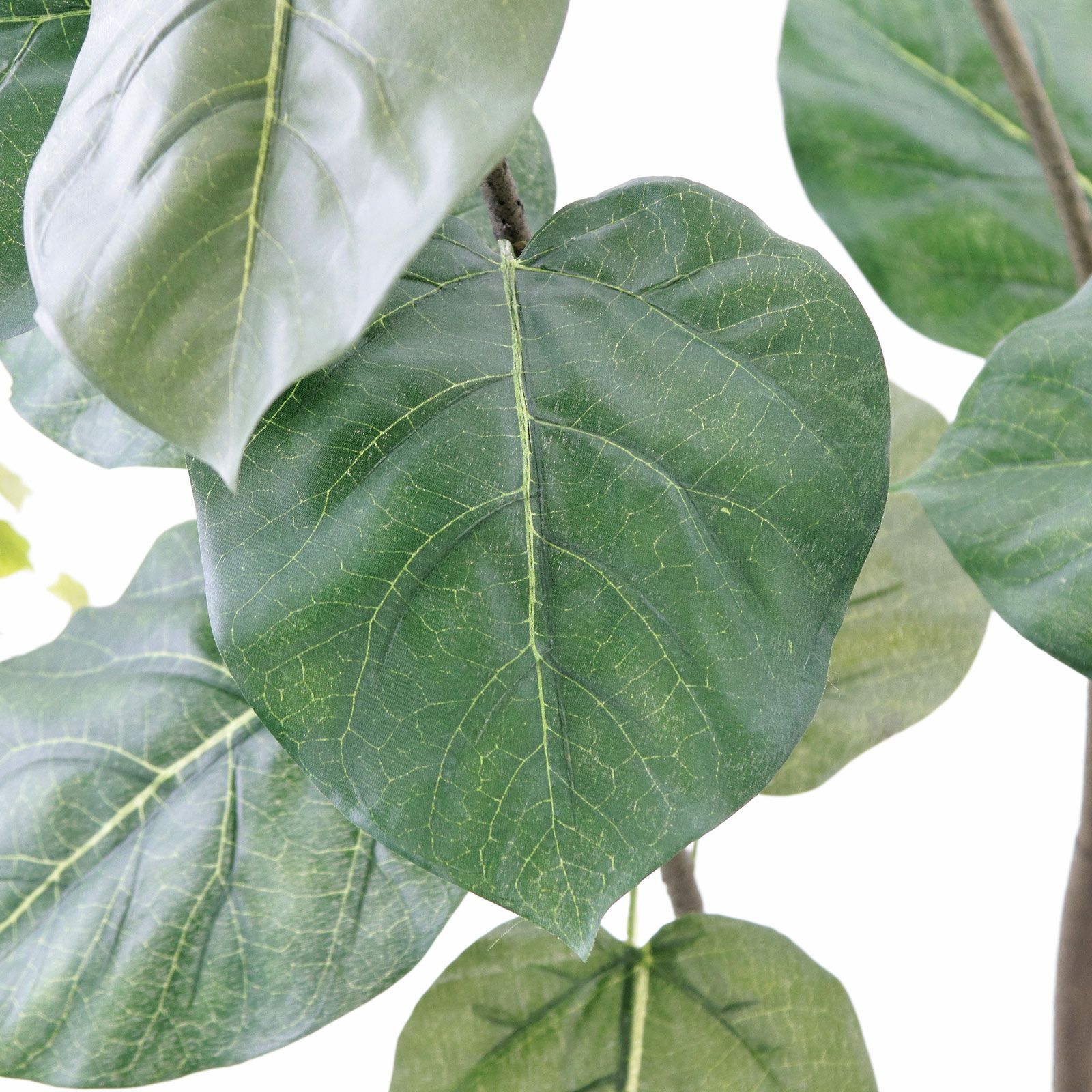 失敗しにくいフェイクグリーンの選び方