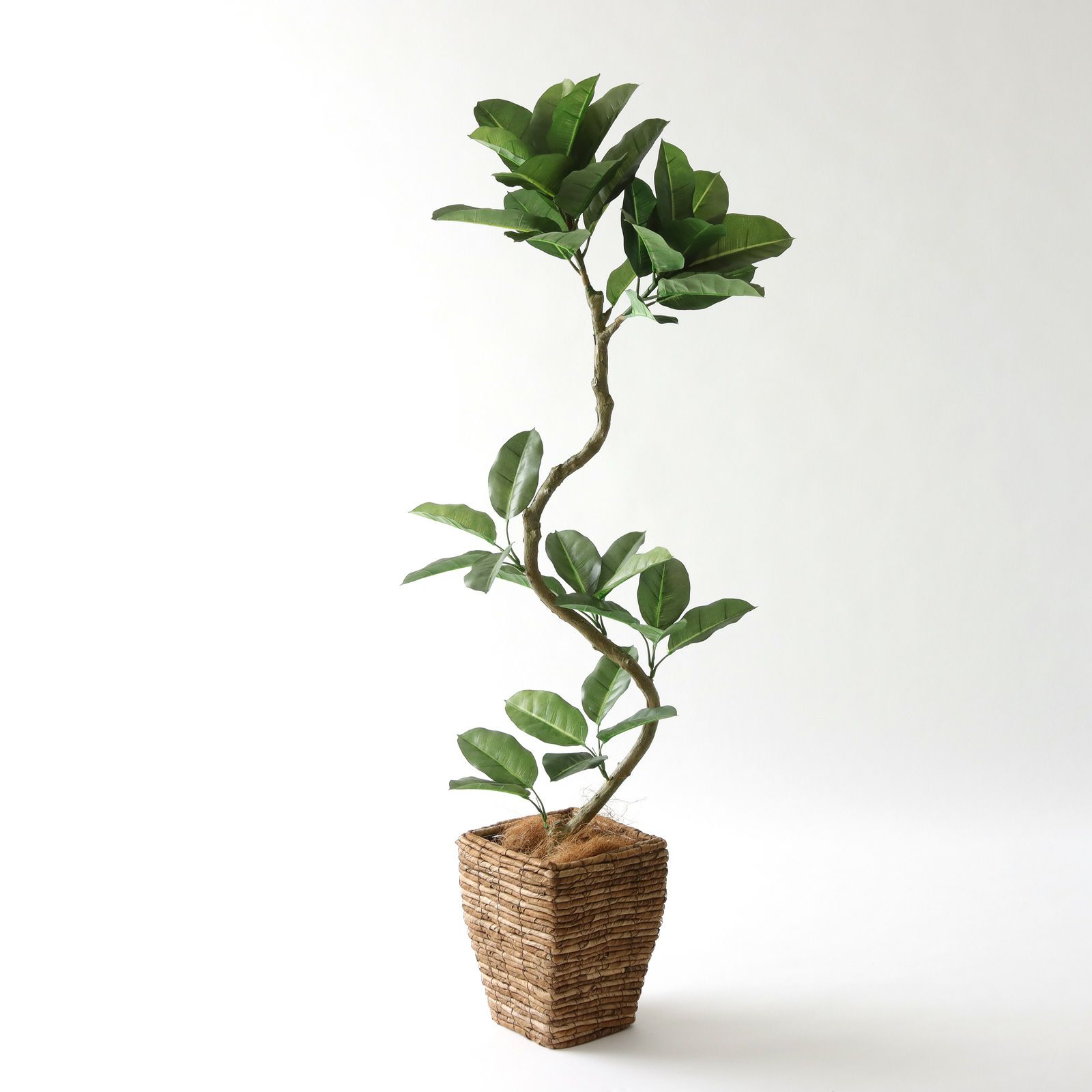 部屋の印象を変える。120～150cmのフェイクグリーン