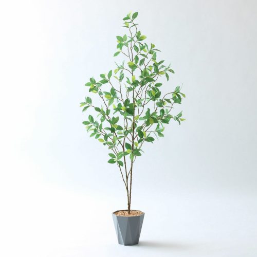 オフィスを格上げするフェイクグリーンの飾り方