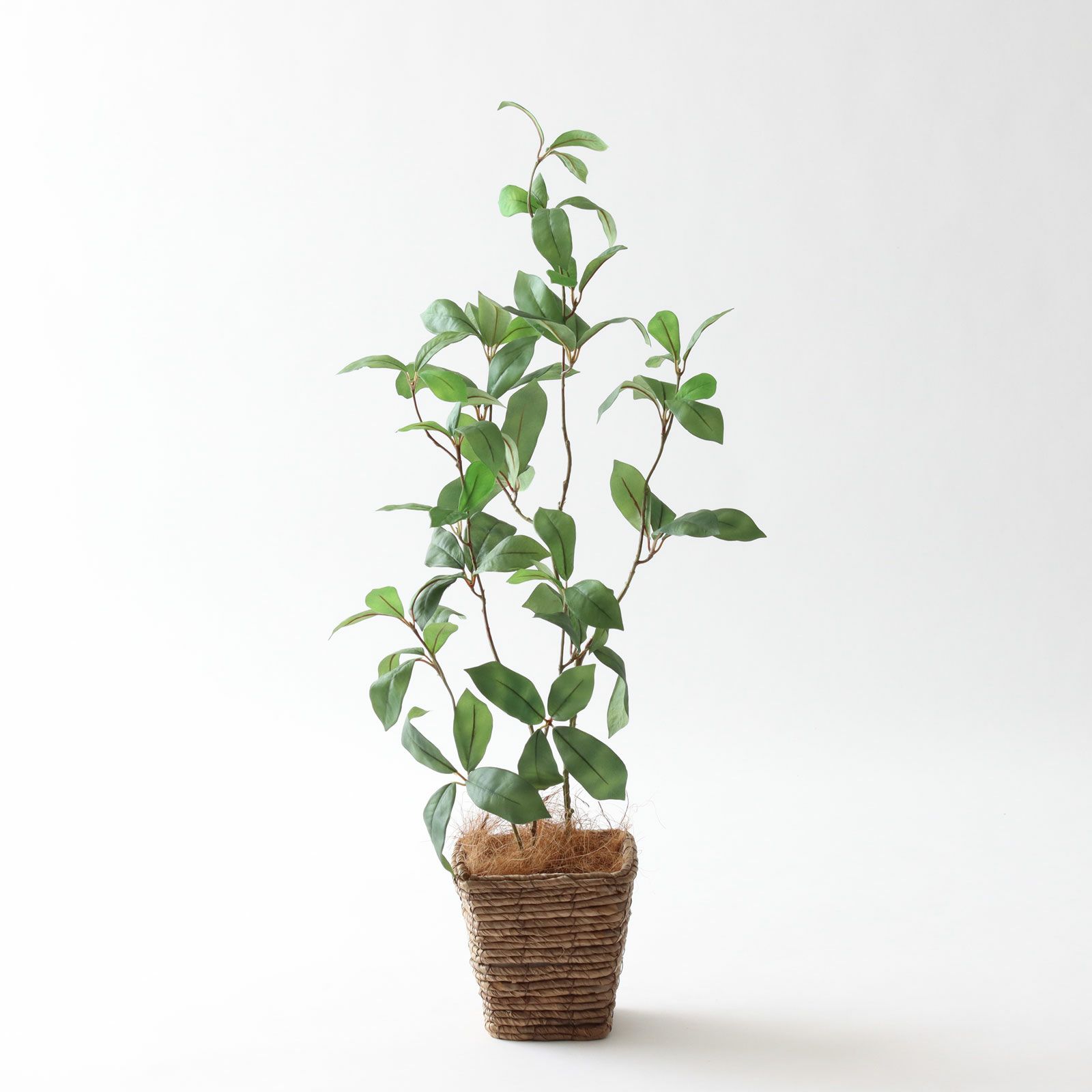 迷ったらこの高さ。100～120cmのフェイクグリーン