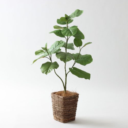 天井高 × テイスト別 フェイクグリーンマップ