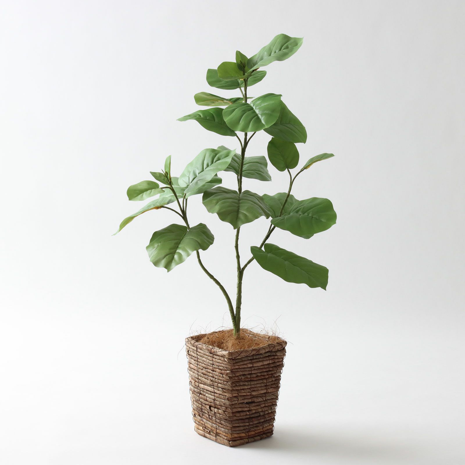 天井高 × テイスト別 フェイクグリーンマップ