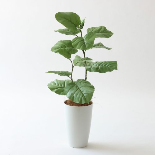 初心者・こだわり派別 フェイクグリーンマップ