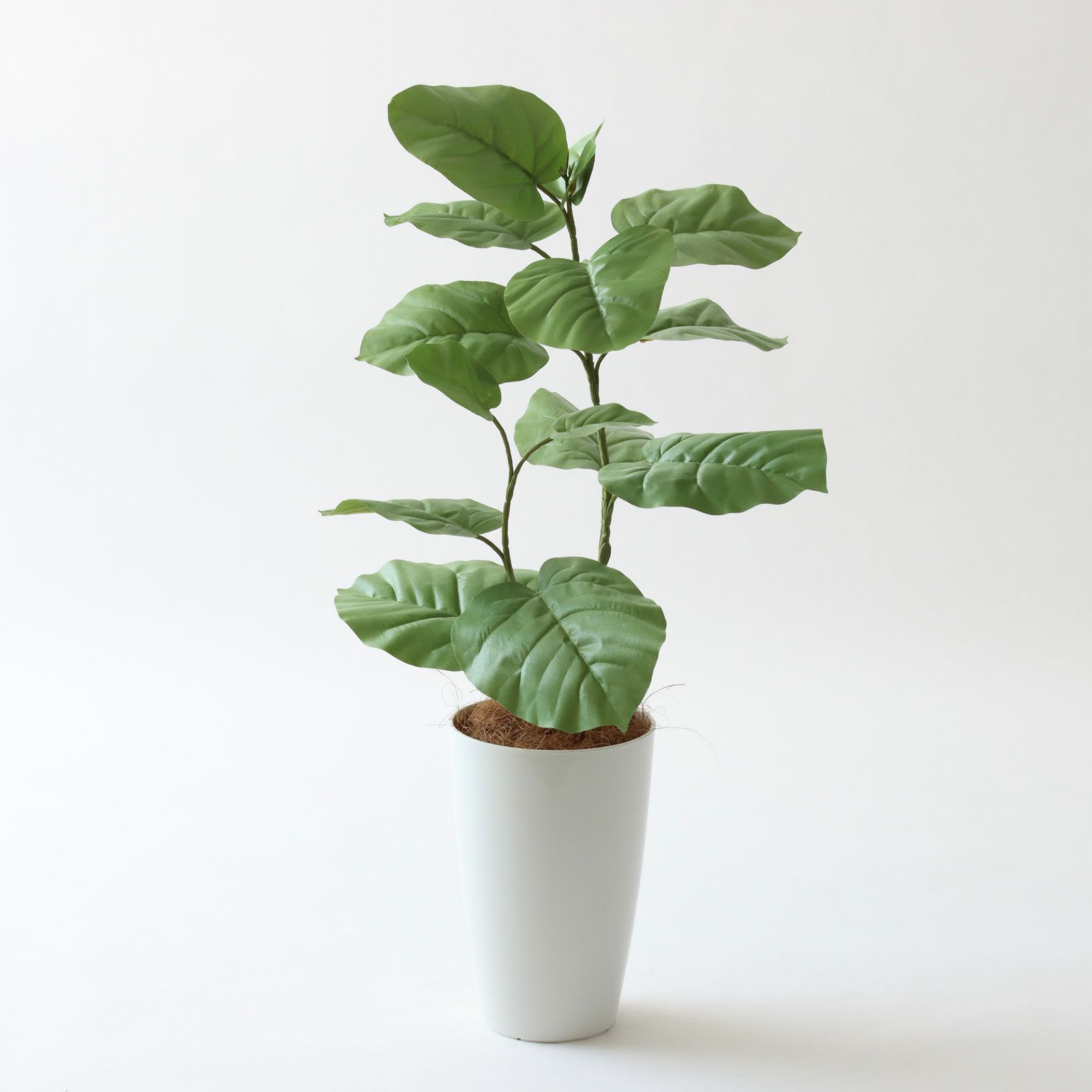 初心者・こだわり派別 フェイクグリーンマップ