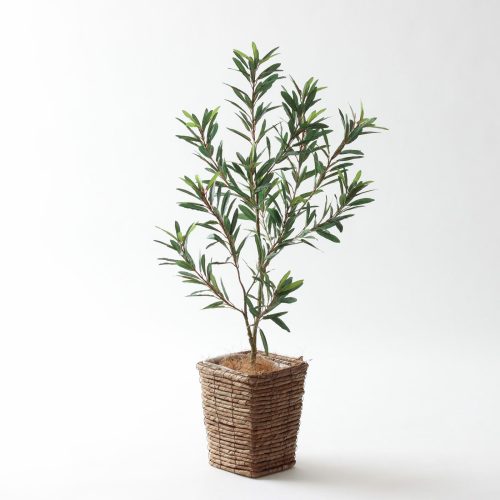 フェイクグリーン初心者だった私が感じた、正直な4つのこと