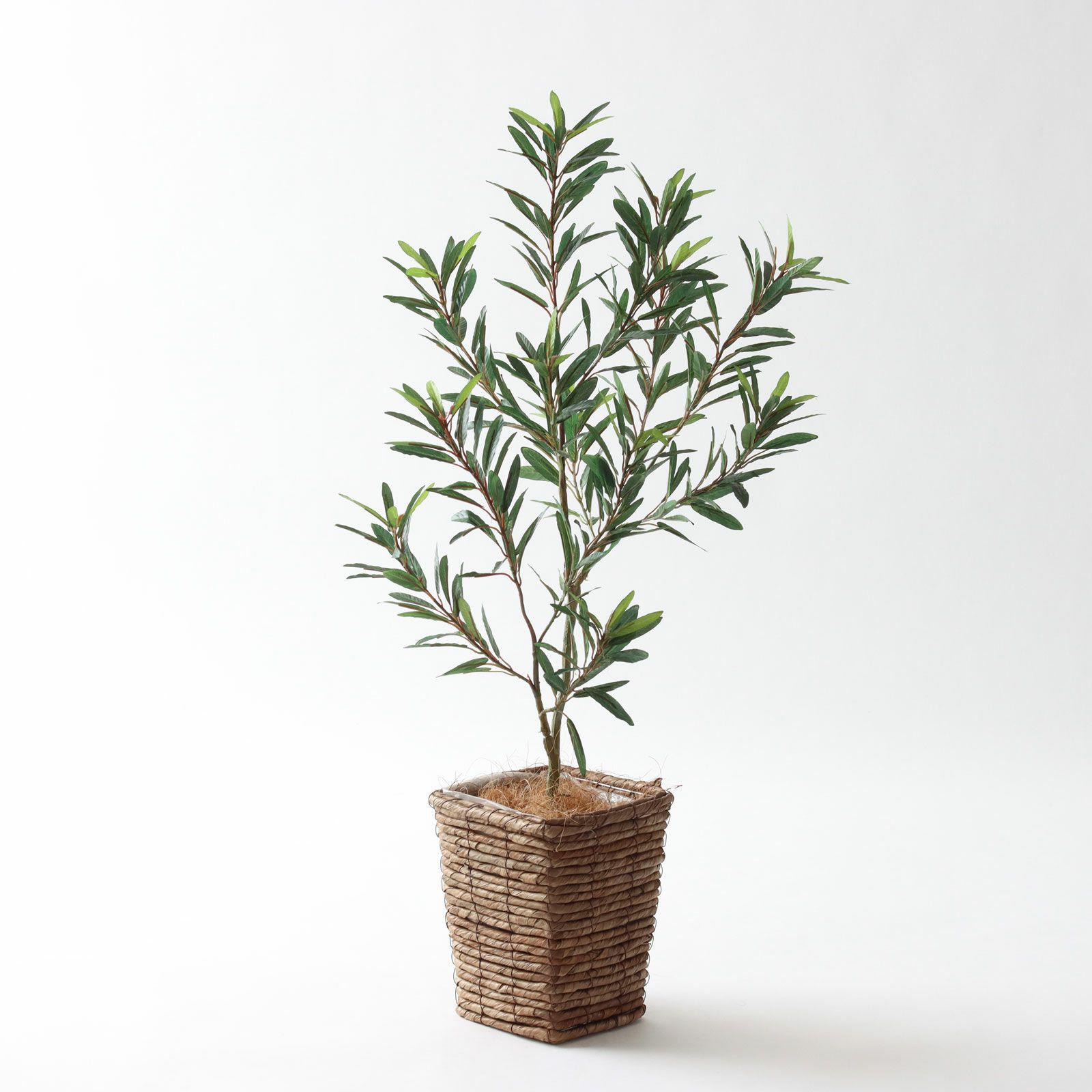 フェイクグリーン初心者だった私が感じた、正直な4つのこと