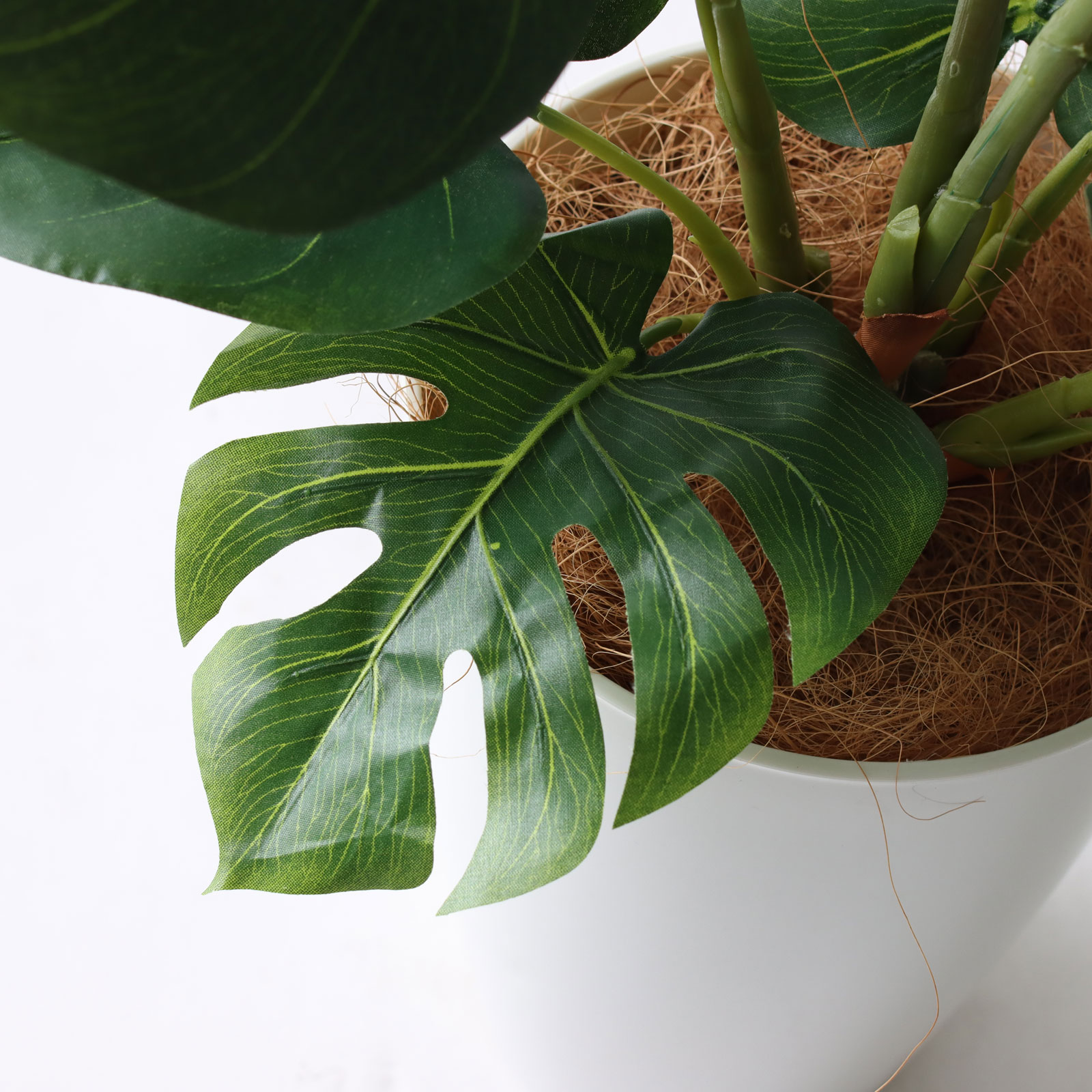 水やり不要で枯らさないフェイクグリーン