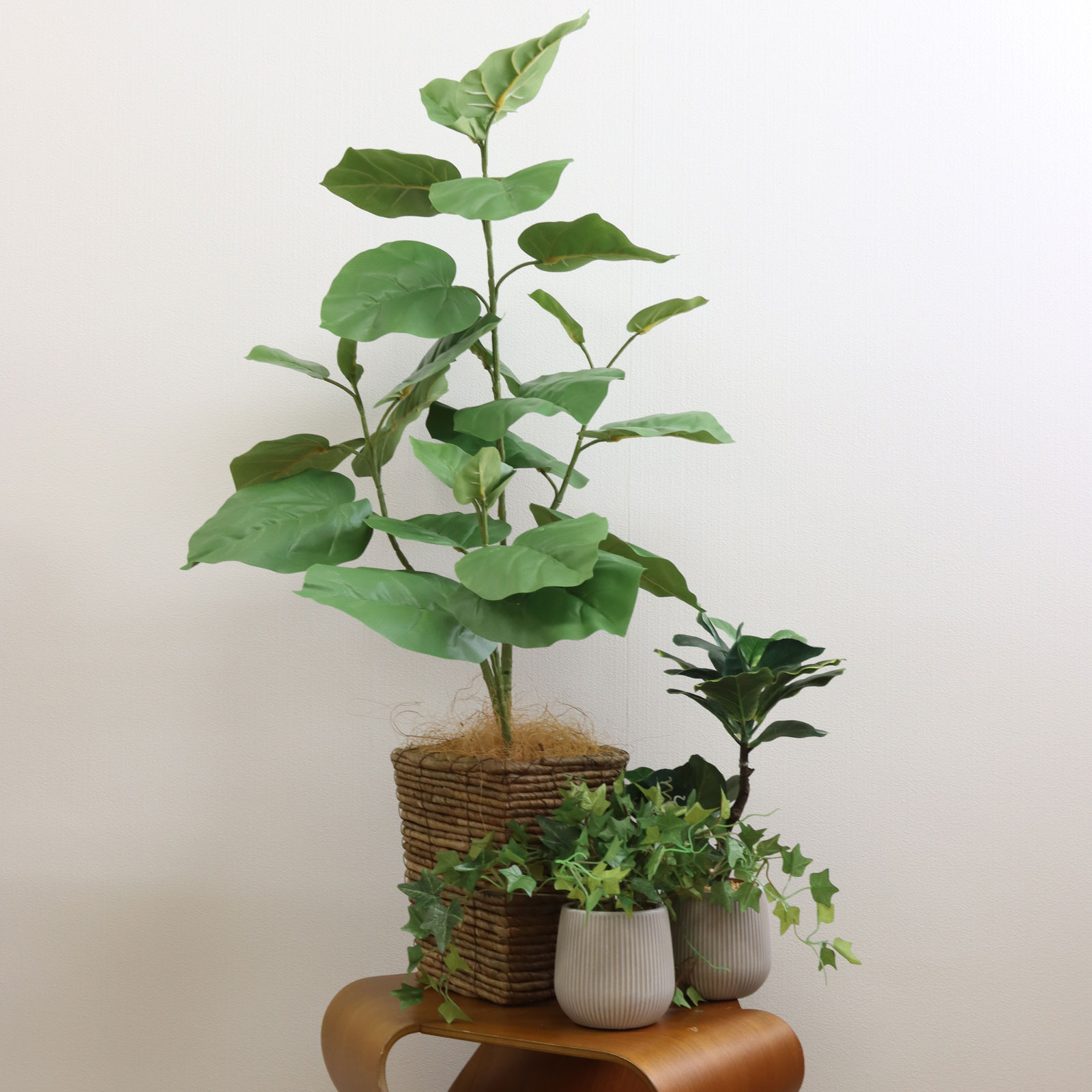 フェイクグリーンのある空間