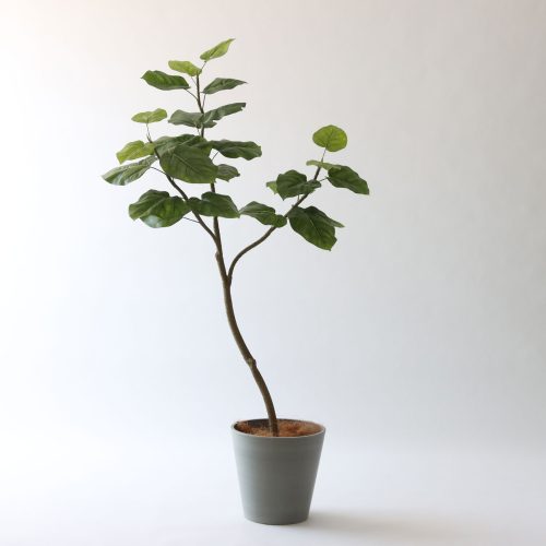 存在感で選ぶ。150～180cmのフェイクグリーン