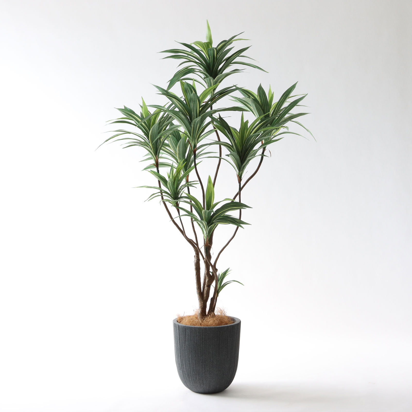 ドラセナ フェイクグリーン 商品写真
