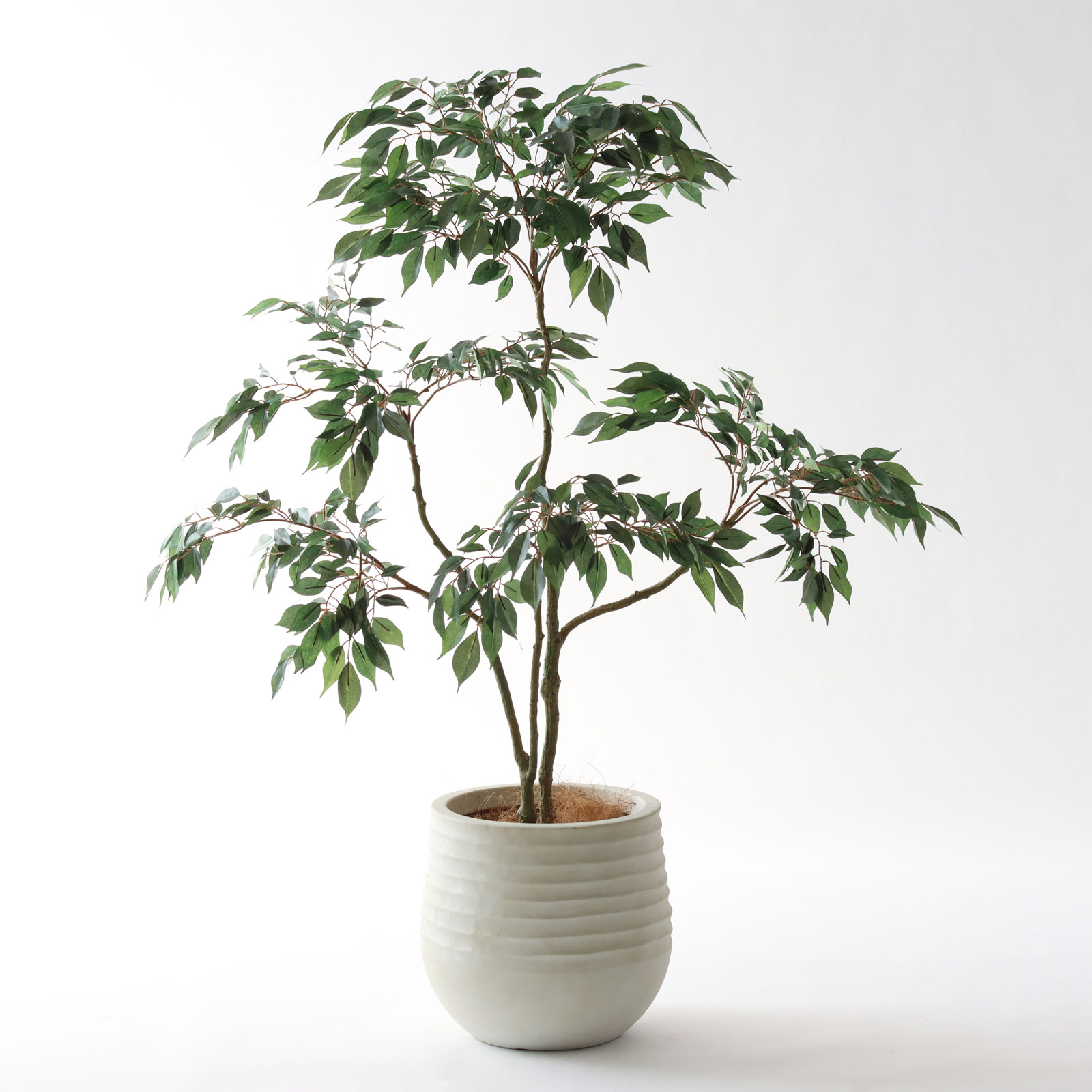 同じフェイクグリーン、アレンジで変わる表情