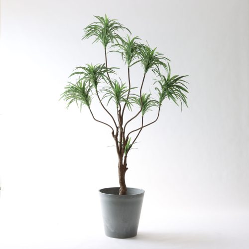 空間を演出する。180cm以上のフェイクグリーン