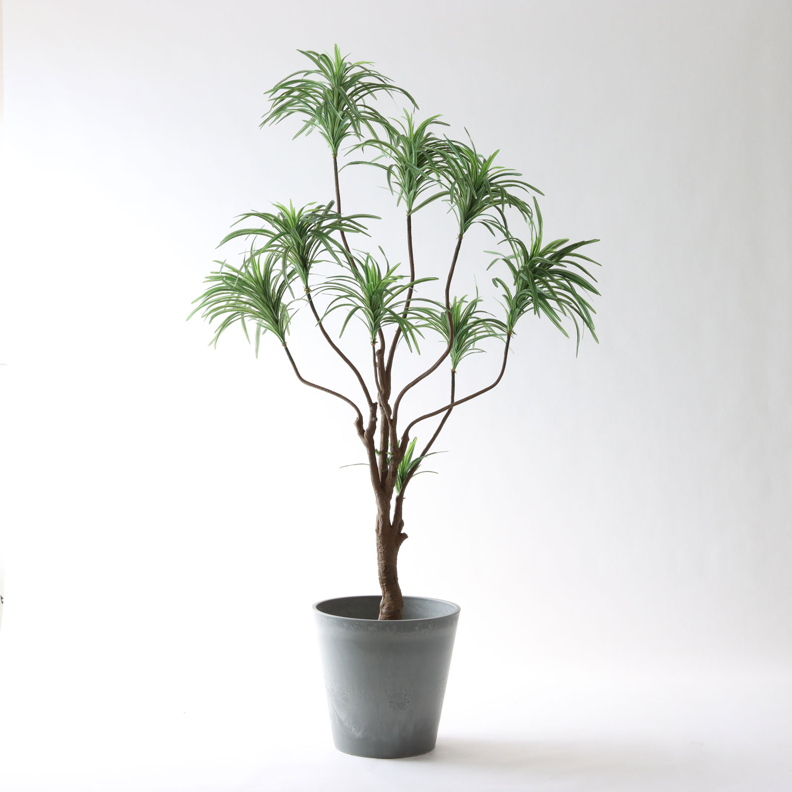 No8182 プレミアム光触媒フェイクグリーン 「枝を自由に曲げて！ ドラセナ・コンシンネ 9枝 高さ180cm 幅85cm 奥行80cm」