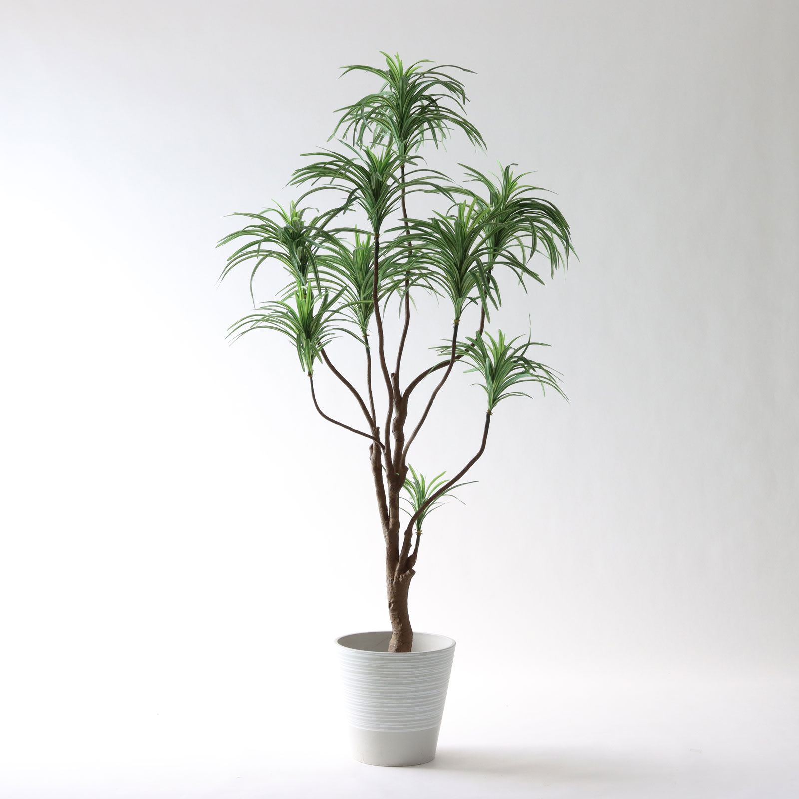 No8182 プレミアム光触媒フェイクグリーン 「枝を自由に曲げて！ ドラセナ・コンシンネ 9枝 高さ180cm 幅85cm 奥行80cm」