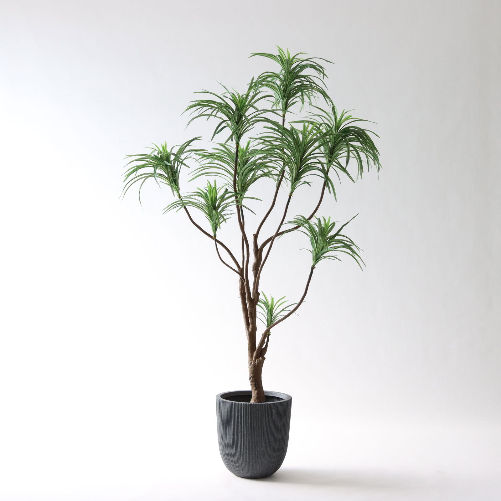 No8182 プレミアム光触媒フェイクグリーン 「枝を自由に曲げて！ ドラセナ・コンシンネ 9枝 高さ180cm 幅85cm 奥行80cm」