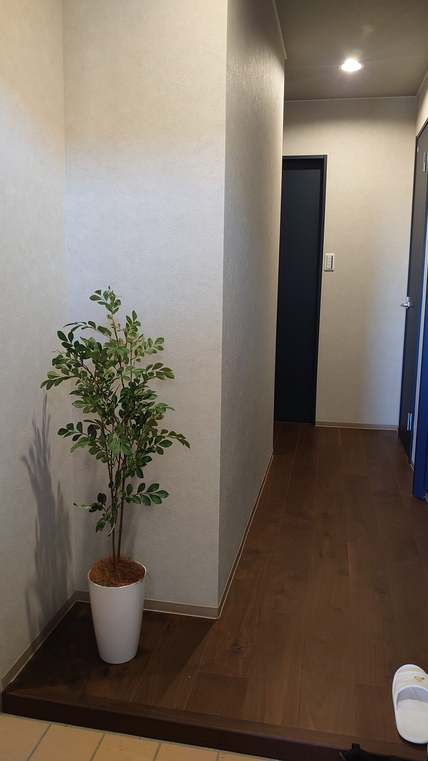 玄関に置かれたフェイクグリーン