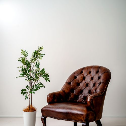 フェイクグリーンはプレゼントにも向いています🌳