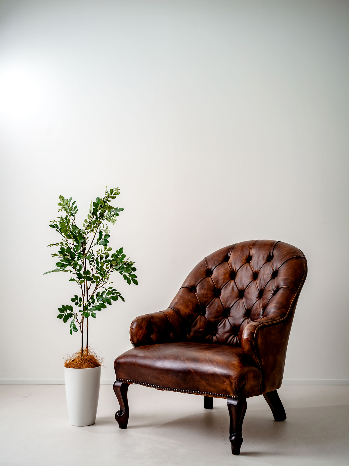 フェイクグリーンはプレゼントにも向いています🌳