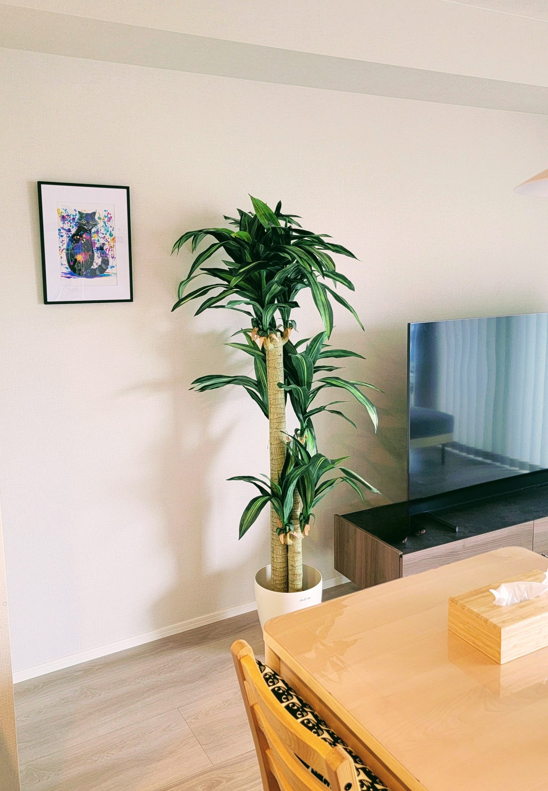 ドラセナ フェイクグリーン 空間コーディネート