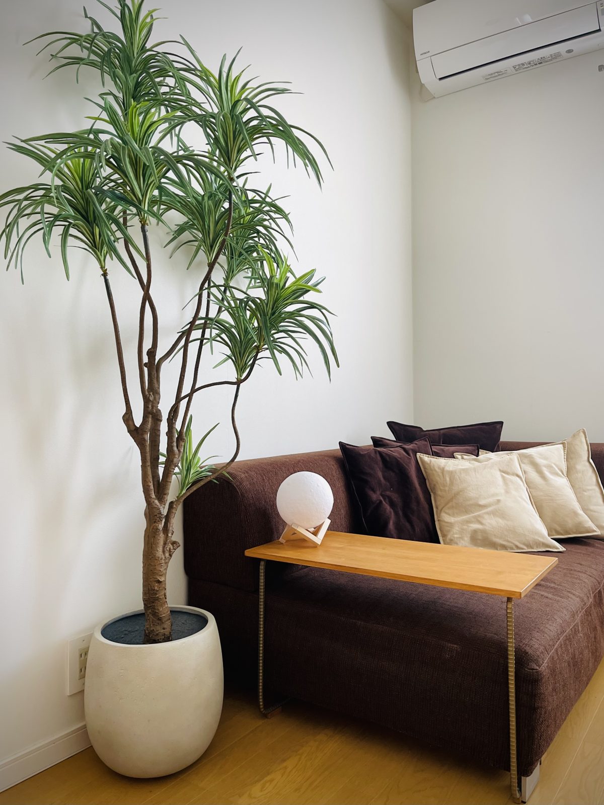 空間を演出する。180cm以上のフェイクグリーン