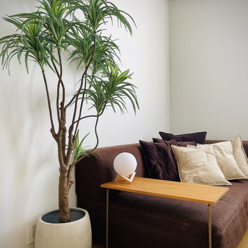 空間を演出する。180cm以上のフェイクグリーン