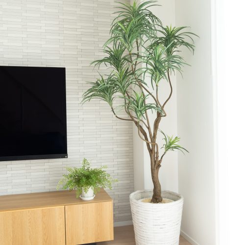 光触媒　人工観葉植物　ウォールグリーン　フェイクグリーン　ソヨゴ1.0 光触媒 人工観葉植物 ウォールグリーン フェイクグリーン ソヨゴ1.0