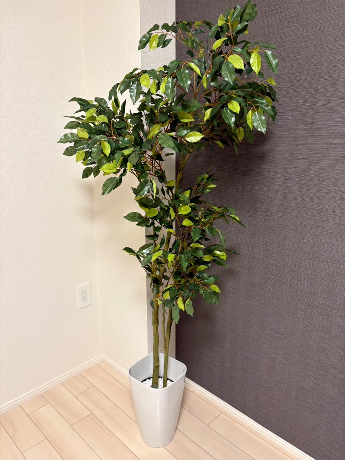コーヒーの木 | プレミアム光触媒フェイクグリーン 造花ドットコム