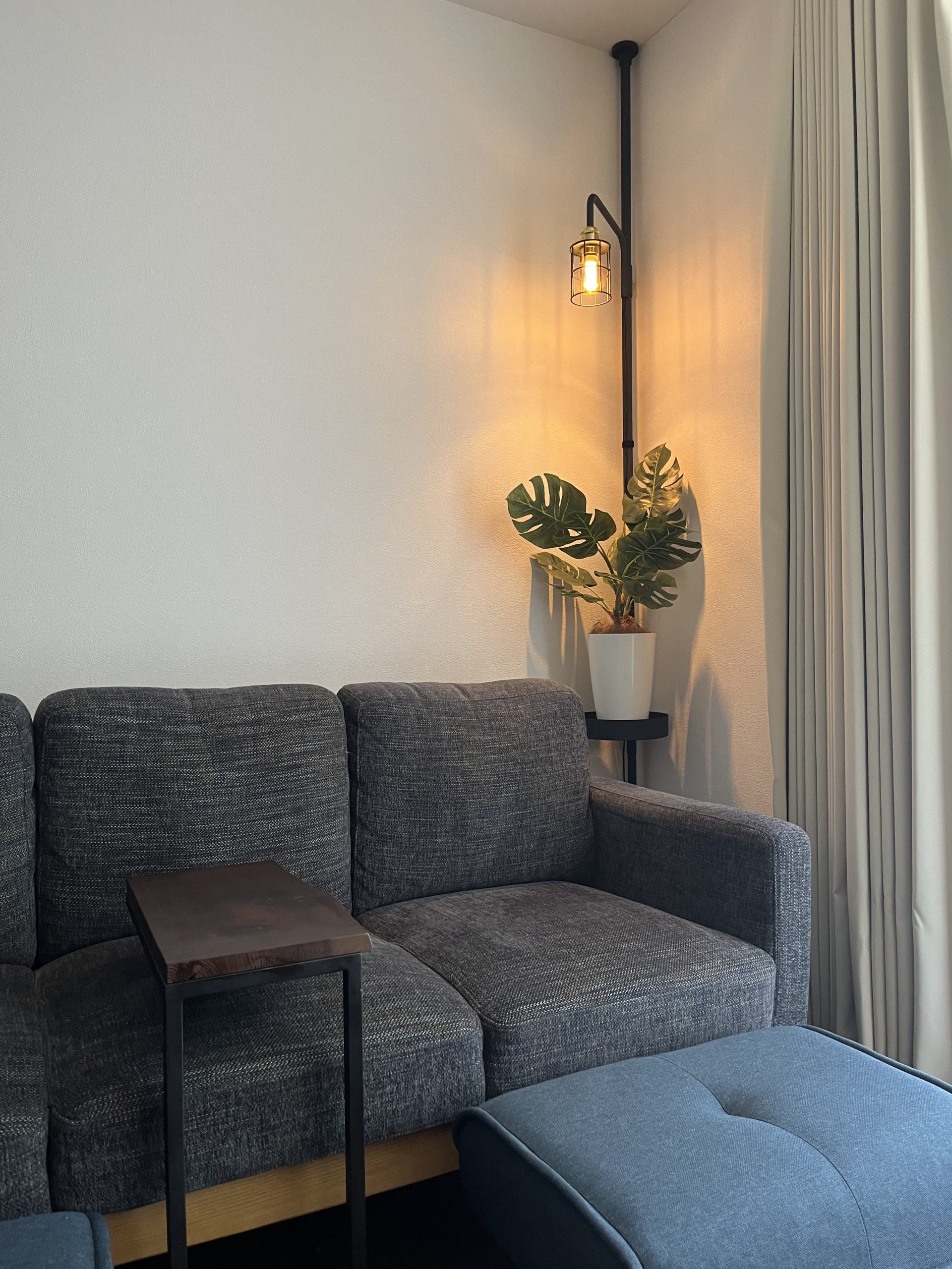 フェイクグリーンは高さが重要｜サイズの考え方 | コラム | プレミアム