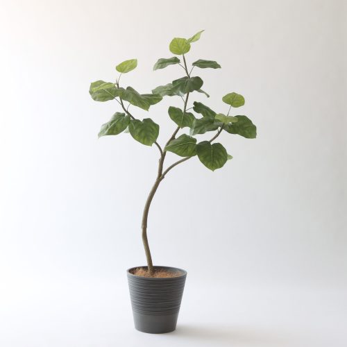 迷ったらこれ。定番フェイクグリーン3選