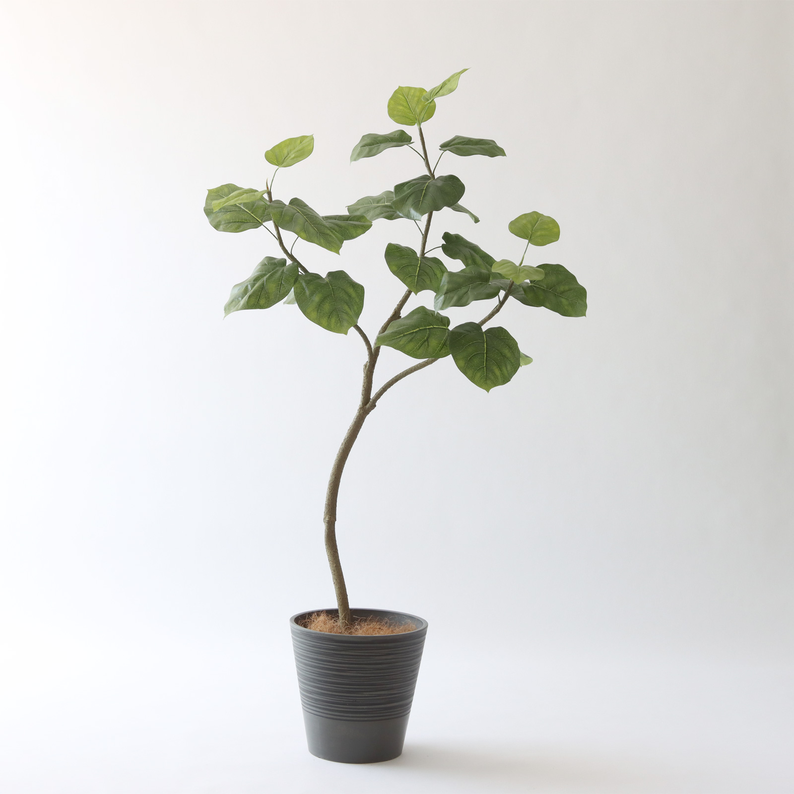 迷ったらこれ。定番フェイクグリーン3選