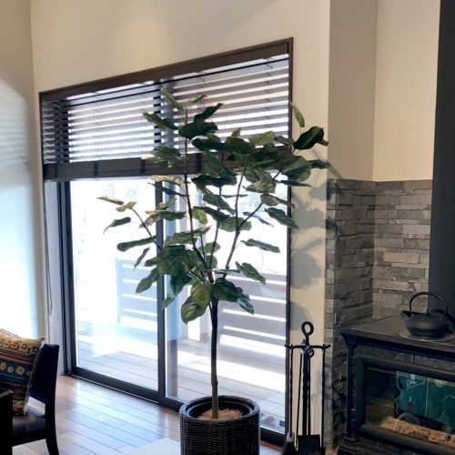 寒い季節の、無理しないグリーンの楽しみ方