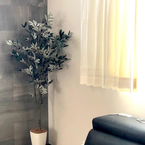 なぜ「角」にグリーンを置くと、部屋が落ち着くのか